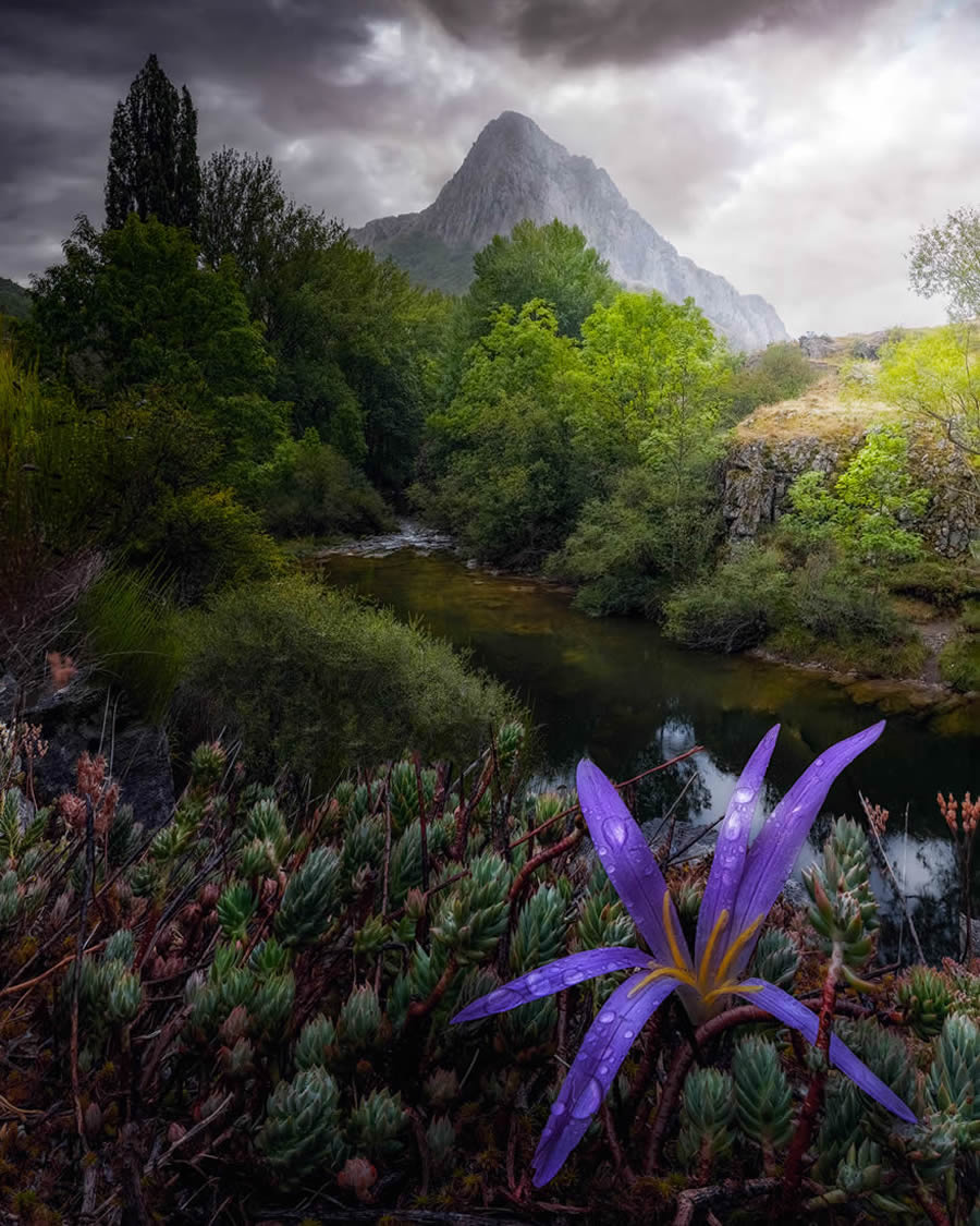 Ganadores de los premios de fotografía artística de entusiastas del paisaje 06