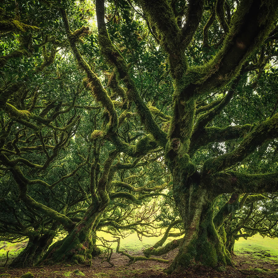 Ganadores de los premios de fotografía artística de entusiastas del paisaje 18