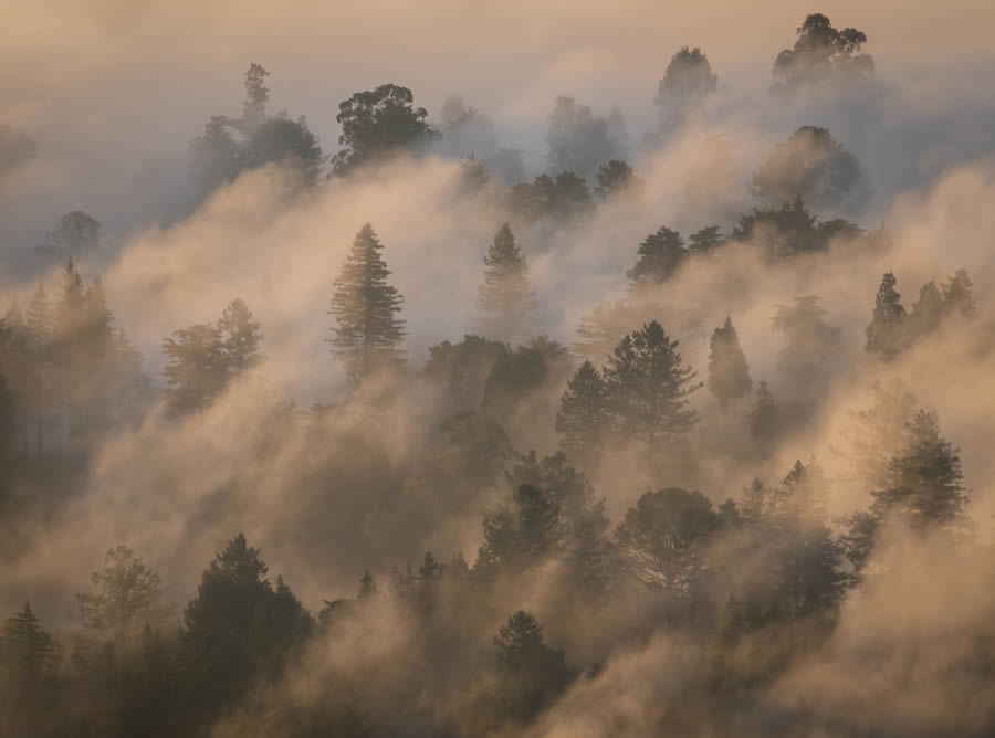 Ganadores de los premios de fotografía artística de Entusiastas del paisaje 21