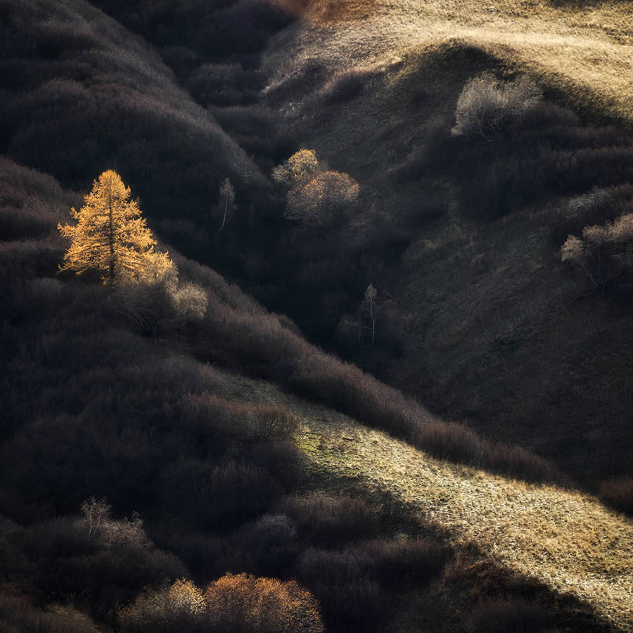 Fine Art Photography Awards Nature Winners 13