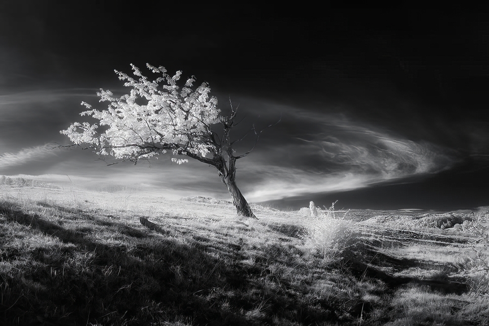 Fine Art Photography Landscape Winners 15 