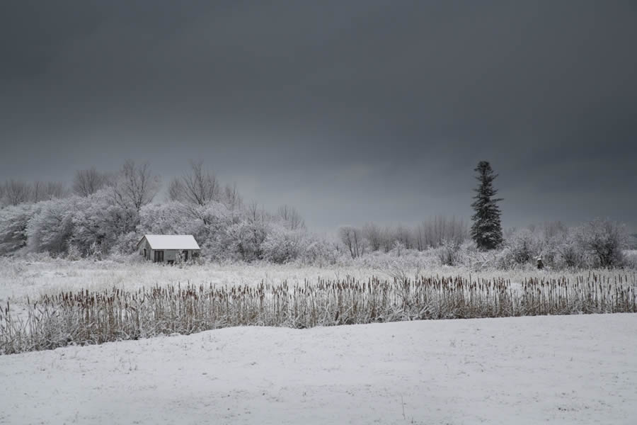 Nature Prix De Le Photography Awards 2024 Winners 25