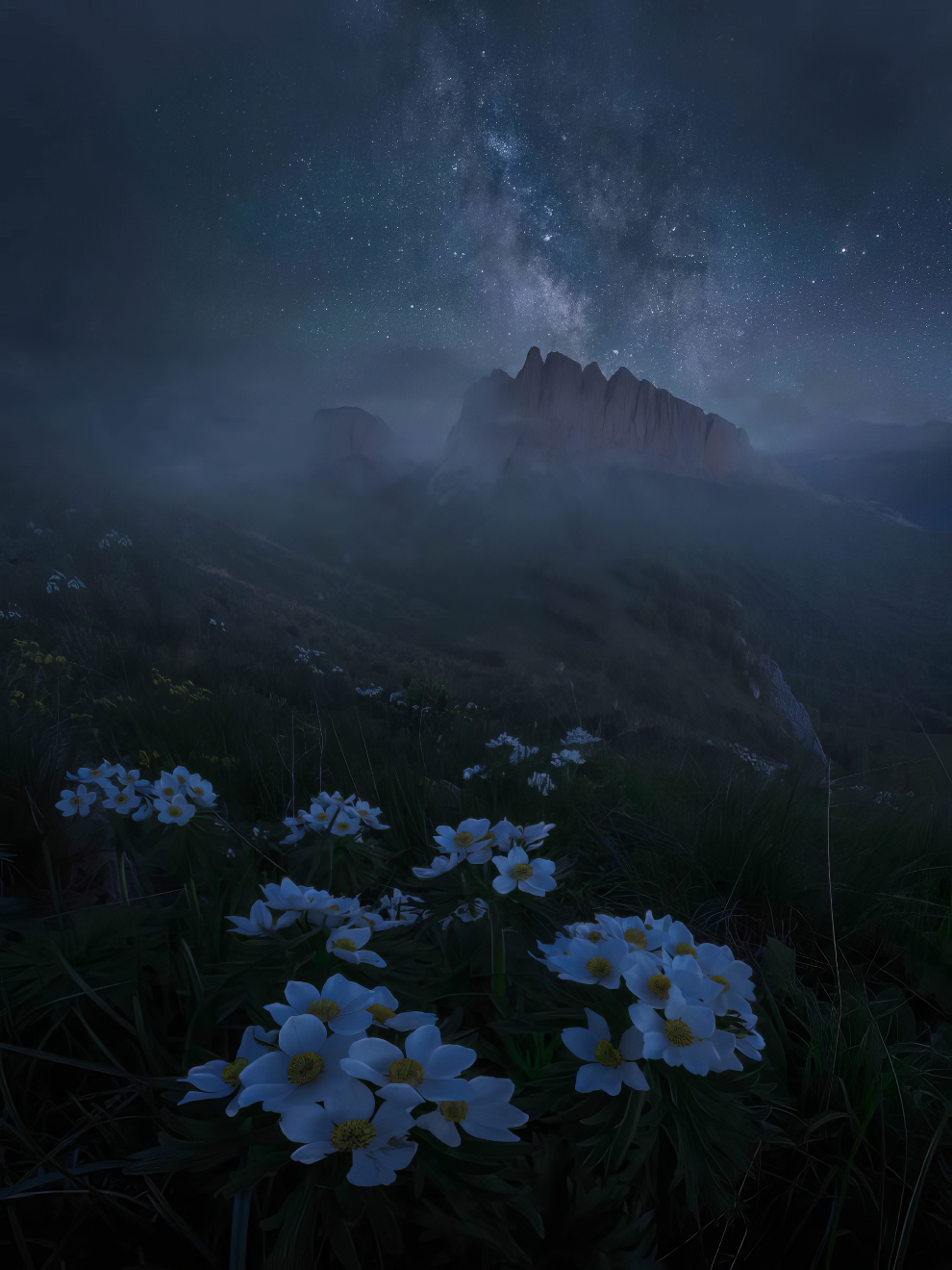 Night Landscape 35 Photography Awards 19 