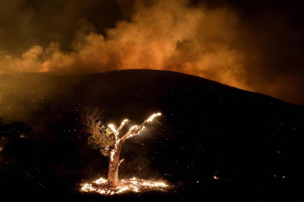 Siena Nature Drone Photo Awards Winners 12 