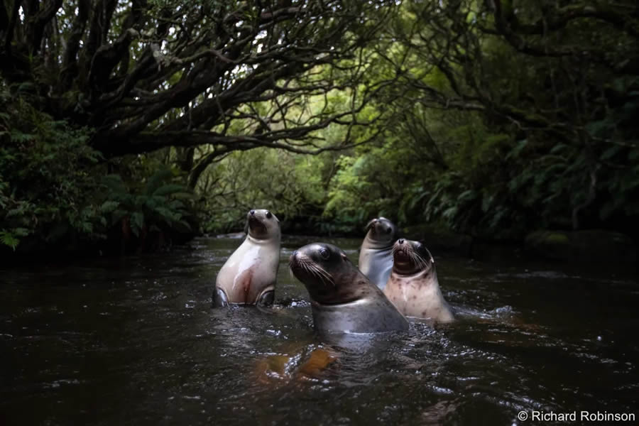 Australian Geographic Nature Photographer Of The Year 2024 13