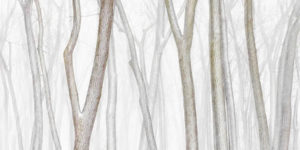 Minimalist Landscape Photography Awards Winners 02