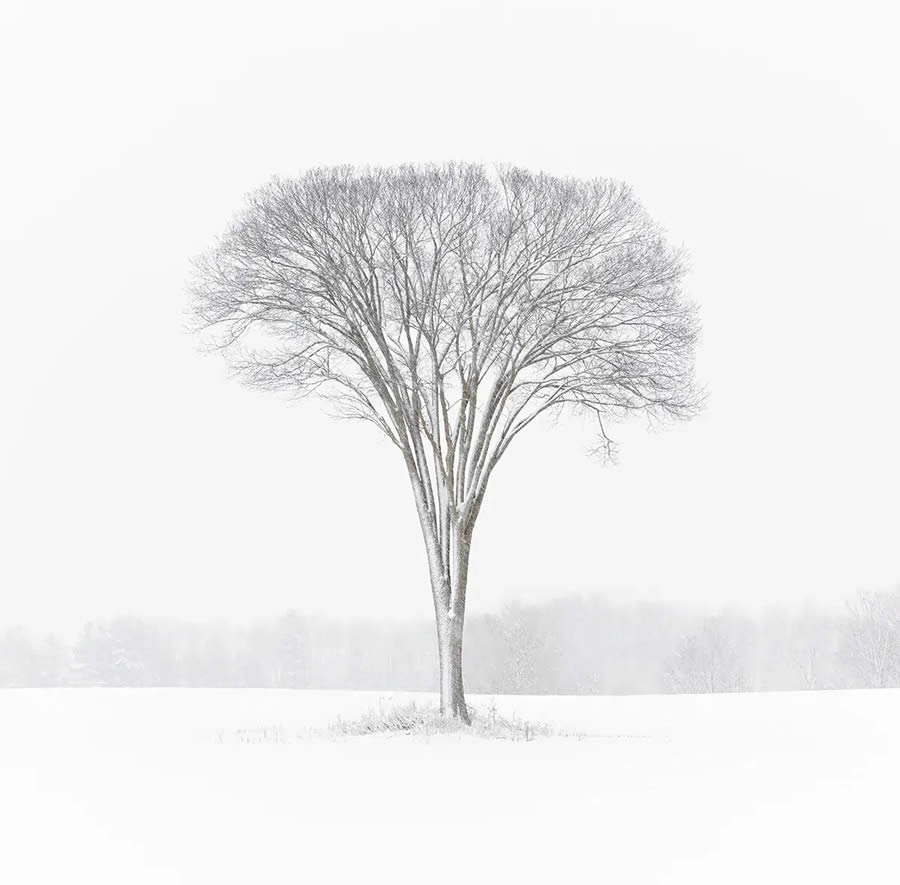 Minimalist Landscape Photography Awards Winners 04