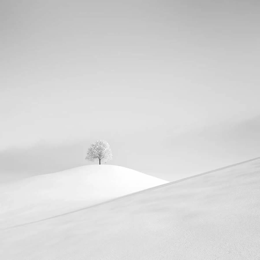 Minimalist Landscape Photography Awards Winners 11