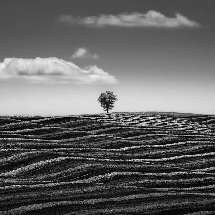 Minimalist Landscape Photography Awards Winners 21