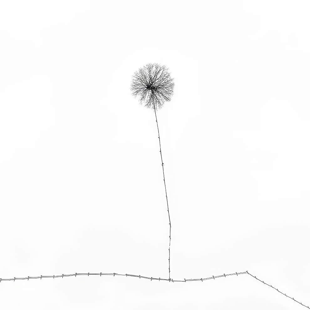 Minimalist Photographer Of The Year Winners 05 