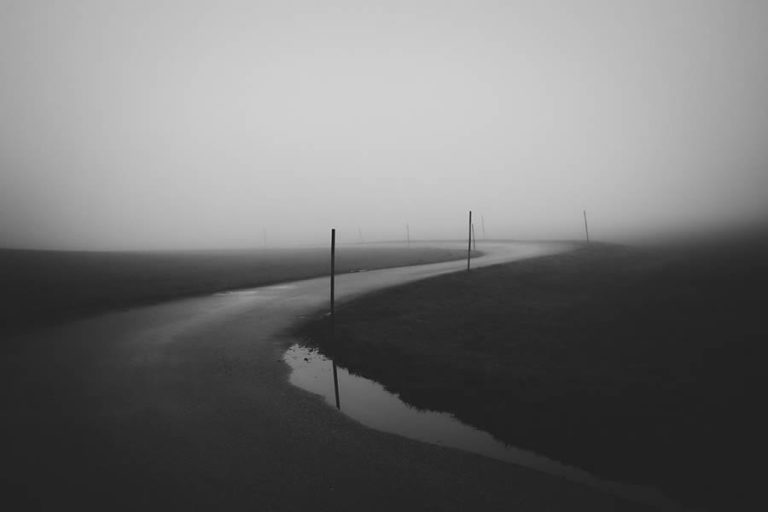 Fantastic Winning Photos From The 2024 Monovisions Black And White ...