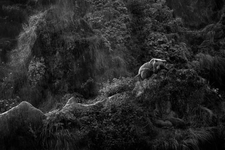 Fantastic Winning Photos From The 2024 Monovisions Black And White ...