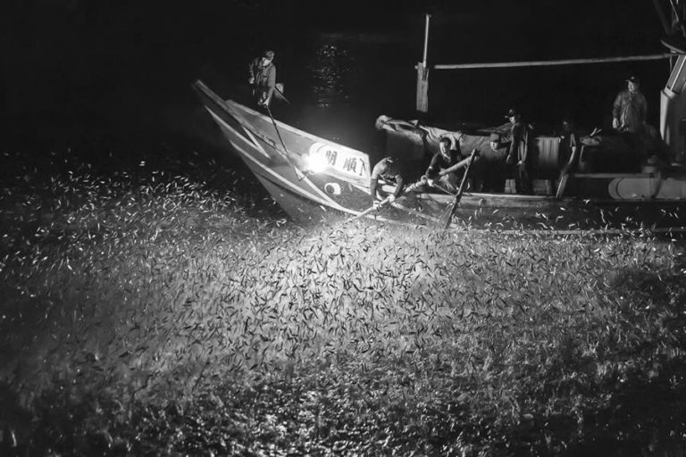 Fantastic Winning Photos From The 2024 Monovisions Black And White ...