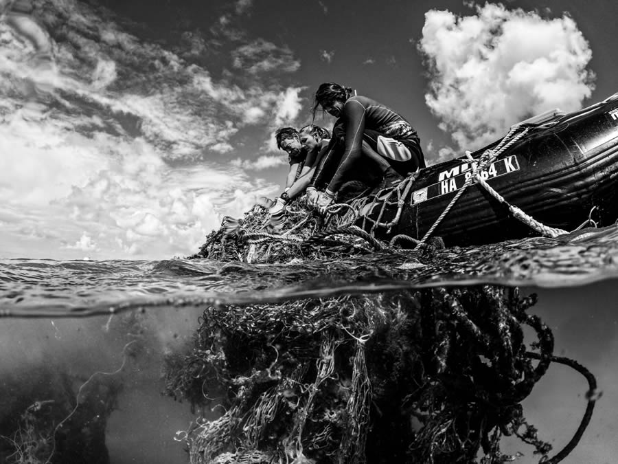 Ocean Photographer Of The Year Awards 2024 Winners 15