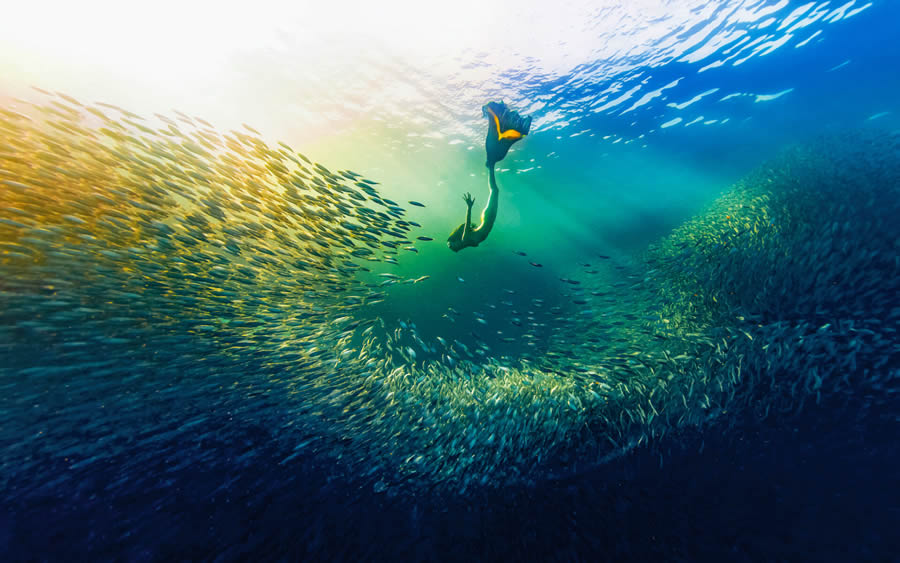 Ocean Photographer Of The Year Awards 2024 Winners 21