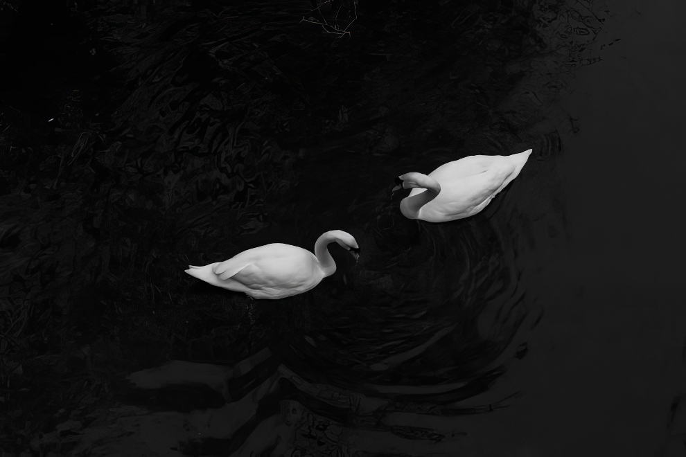 Premios Refocus de Fotografía en Blanco y Negro 08 