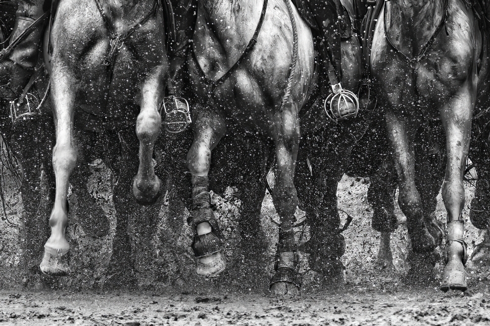 Premios Refocus de Fotografía en Blanco y Negro 12 