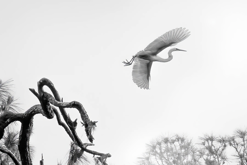 Premios Refocus de Fotografía en Blanco y Negro 26 