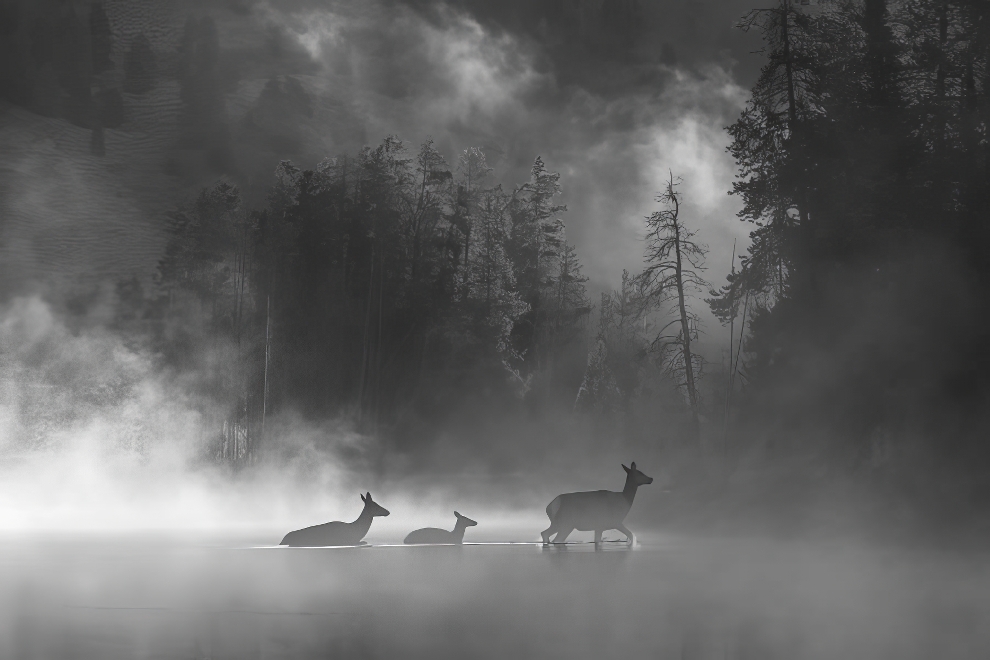 Premios Refocus de Fotografía en Blanco y Negro 29 