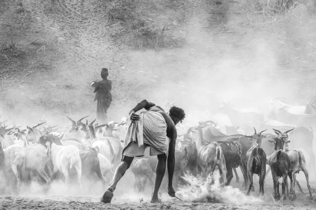 Incredible Winning Photos From The 2024 reFocus Black And White ...