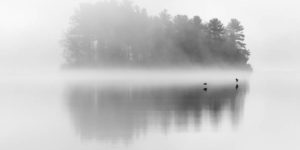 Refocus Landscape Black And White Photography Awards 2024 11
