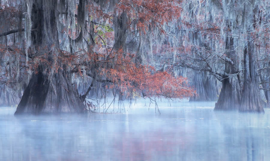 Tokyo Awards Nature Photography Winners 05