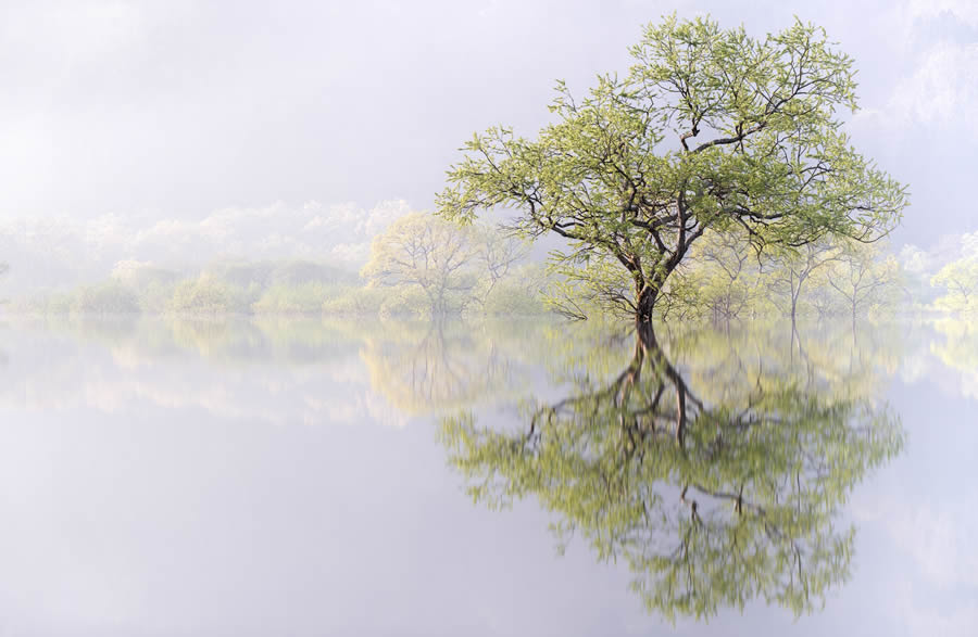 Tokyo Awards Nature Photography Winners 08