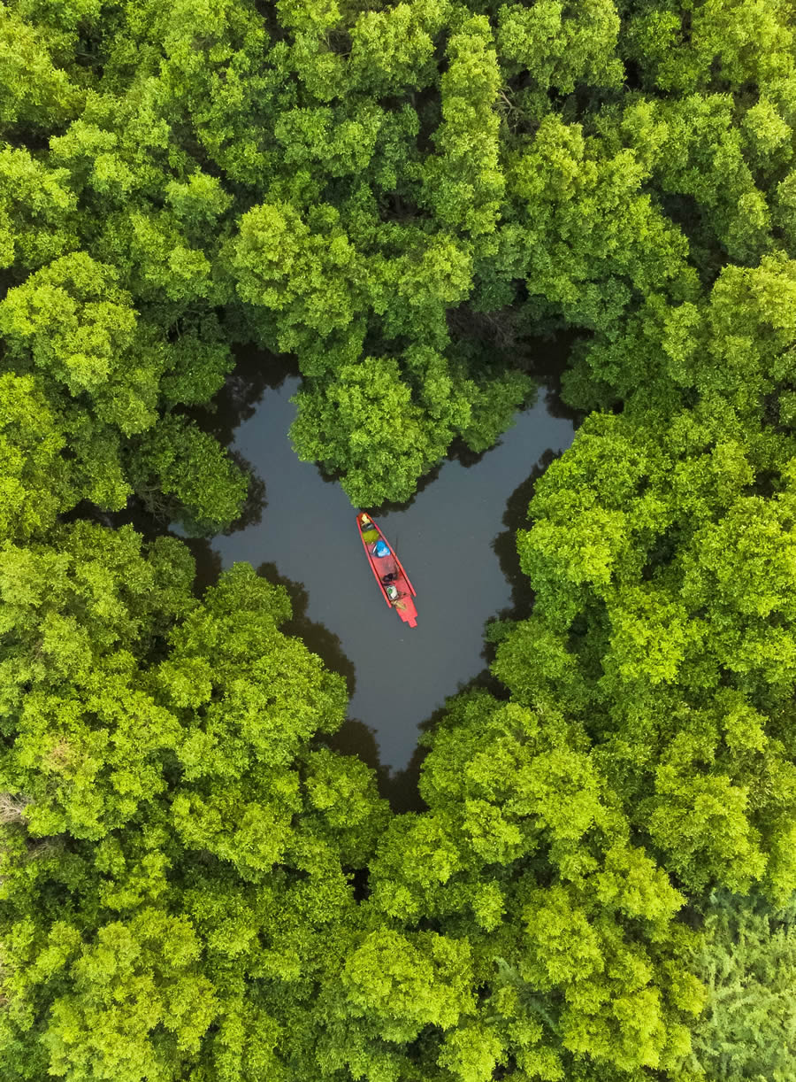 Tokyo Awards Nature Photography Winners 17