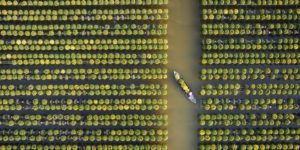 International Epson Panorama Awards 2024 02