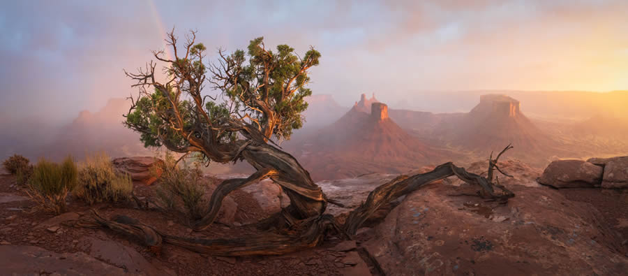 Ganadores de los premios Landscape Nature Pano 2024 05