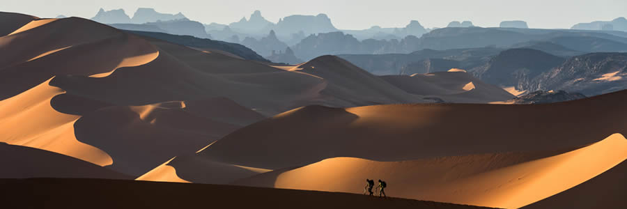 Ganadores de los premios Landscape Nature Pano 2024 07