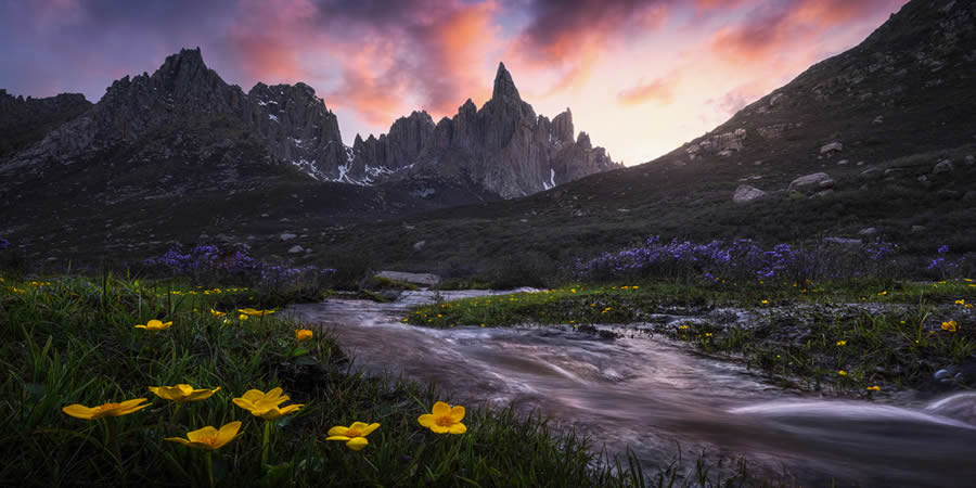 Ganadores de los premios Landscape Nature Pano 2024 20