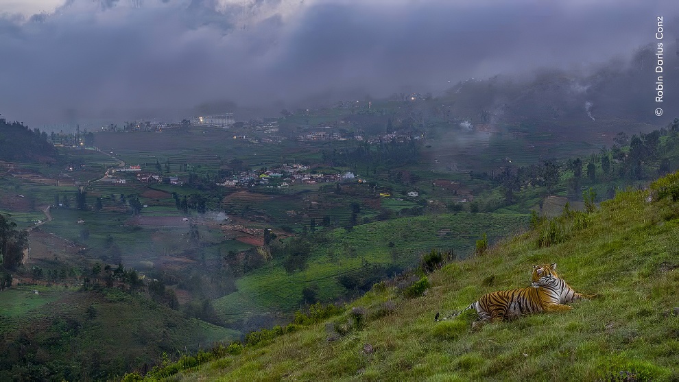 Wildlife Photographer Of The Year 2024 Winners 08 Topaz Upscale 990w