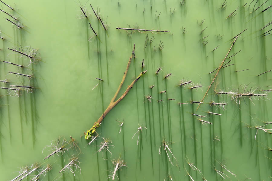 Landscape Photographer Of The Year 2024 Winners 09