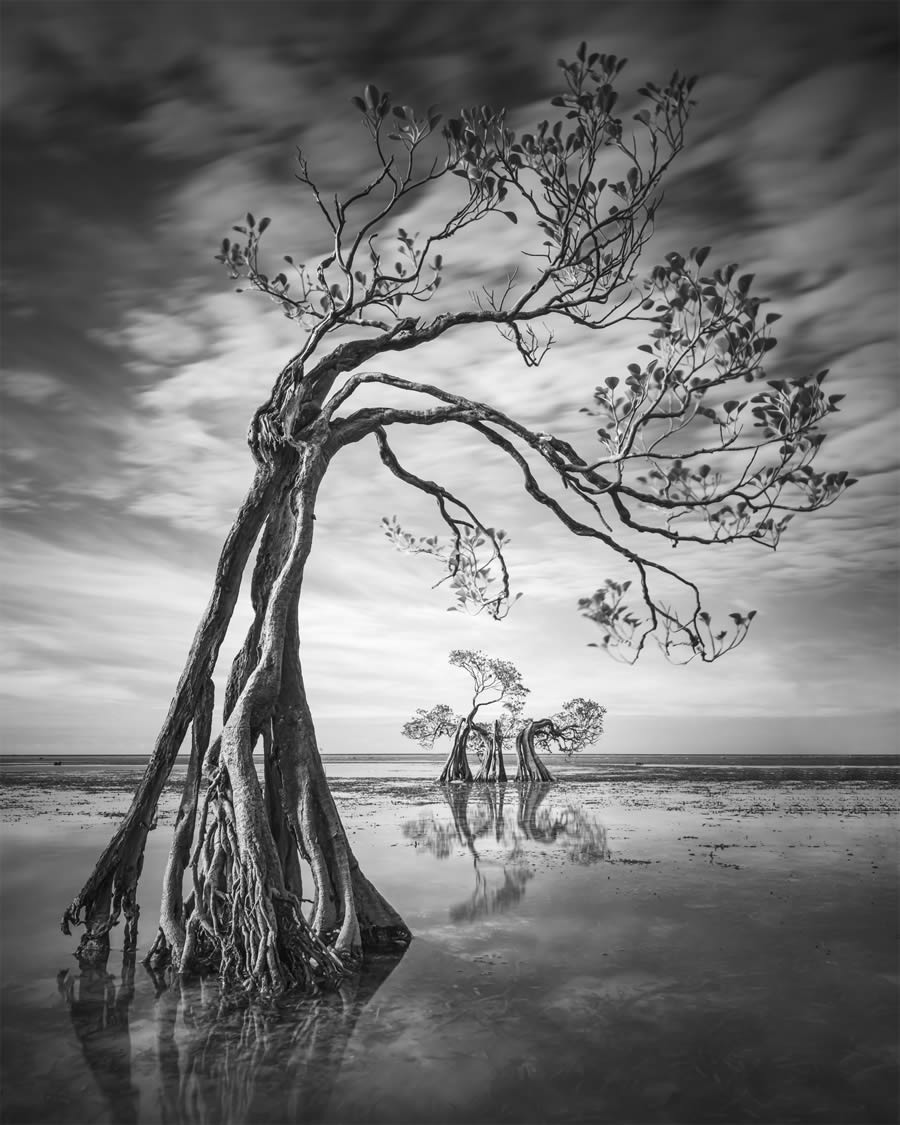 Landscape Photographer Of The Year 2024 Winners 11