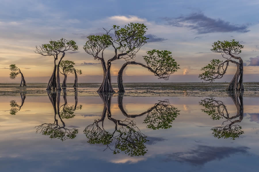 Landscape Photographer Of The Year 2024 Winners 18