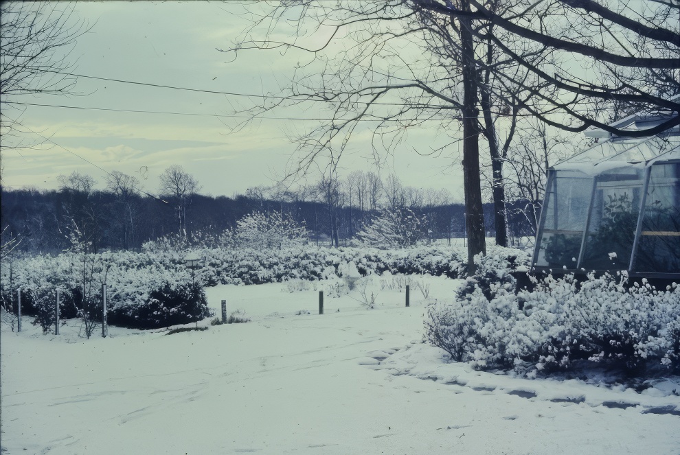 New Jersey Winters 1960s 19 