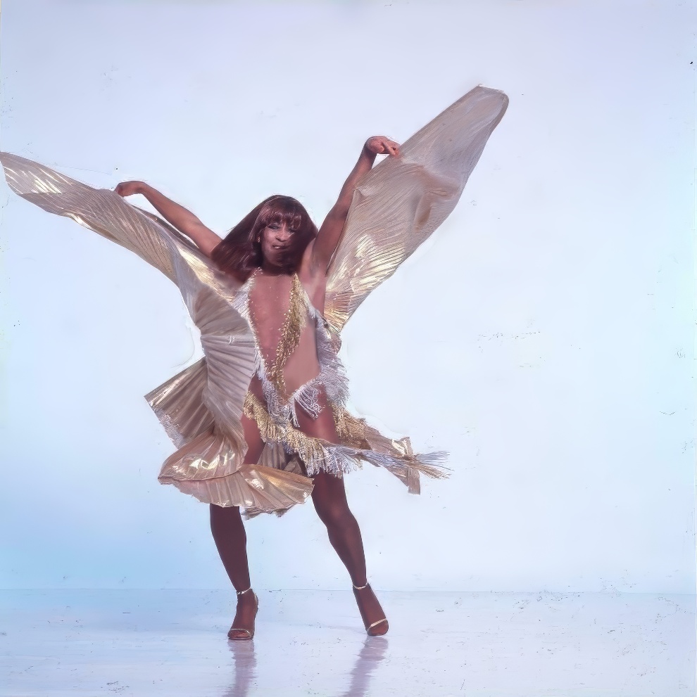 Tina Turner In Bob Mackie Costume 3 