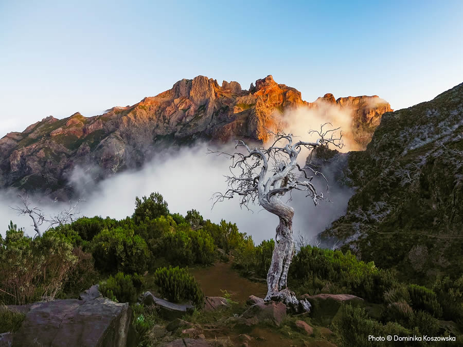 Weather Photographer Of The Year 2024 Winners 24