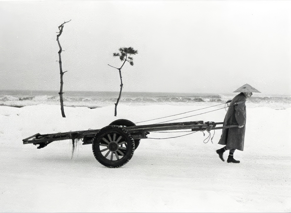 Winter In Japan 1 