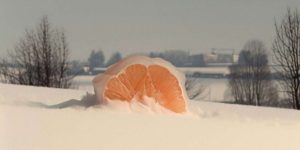 AI-Log: The Immersive AI-Photography by Alina Trifan