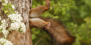Comedy Wildlife Winners 2024 01