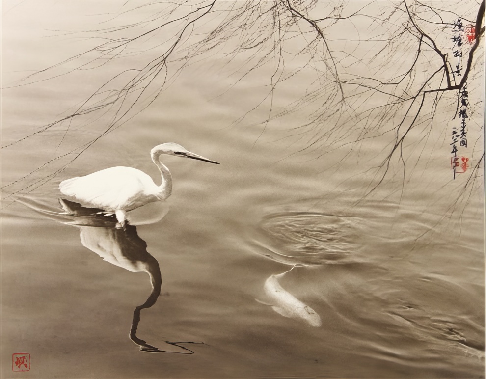 Don Hong Oai Photography 09 