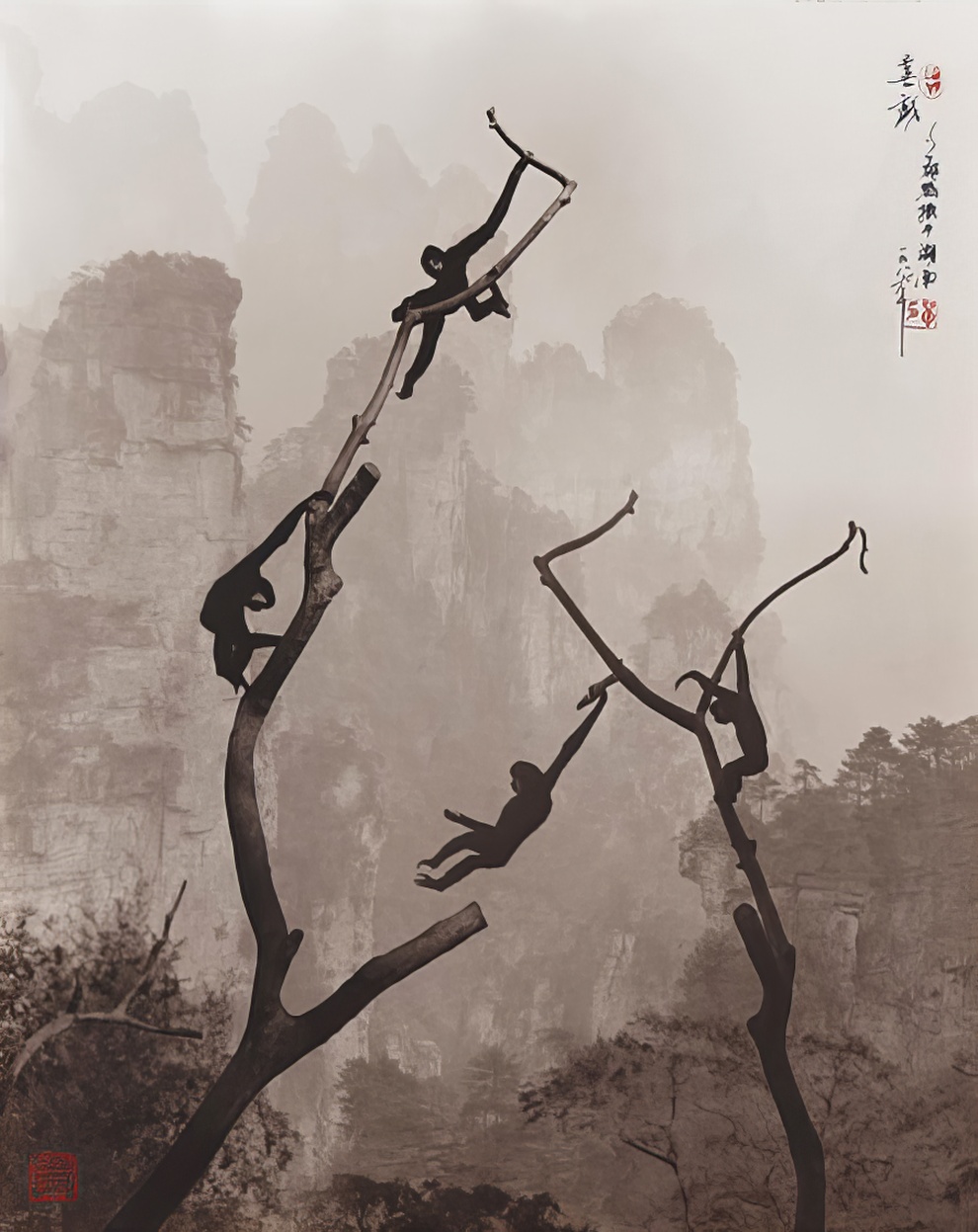 Don Hong Oai Photography 15 