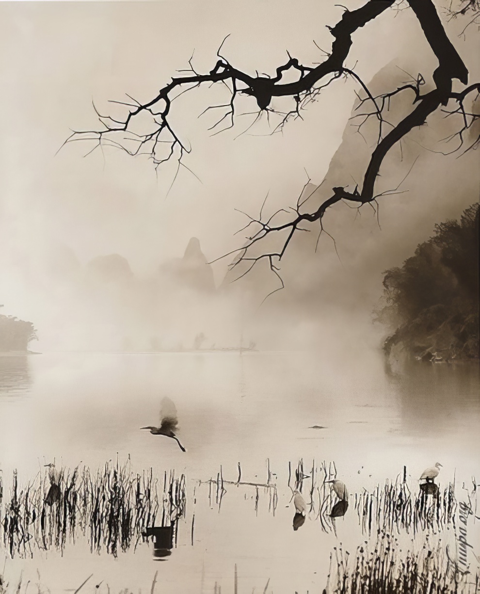 Don Hong Oai Photography 24 