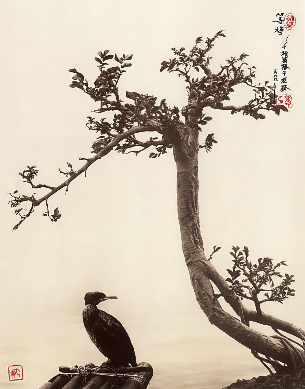 Don Hong Oai Photography 29 