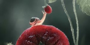 Hipa Awards 2024 Best Winners 01