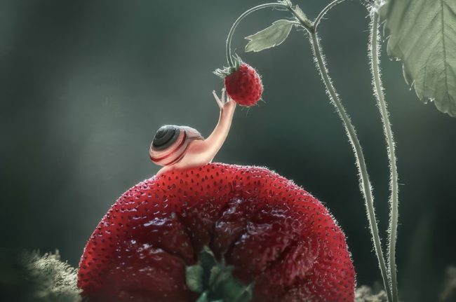 Hipa Awards 2024 Best Winners 01