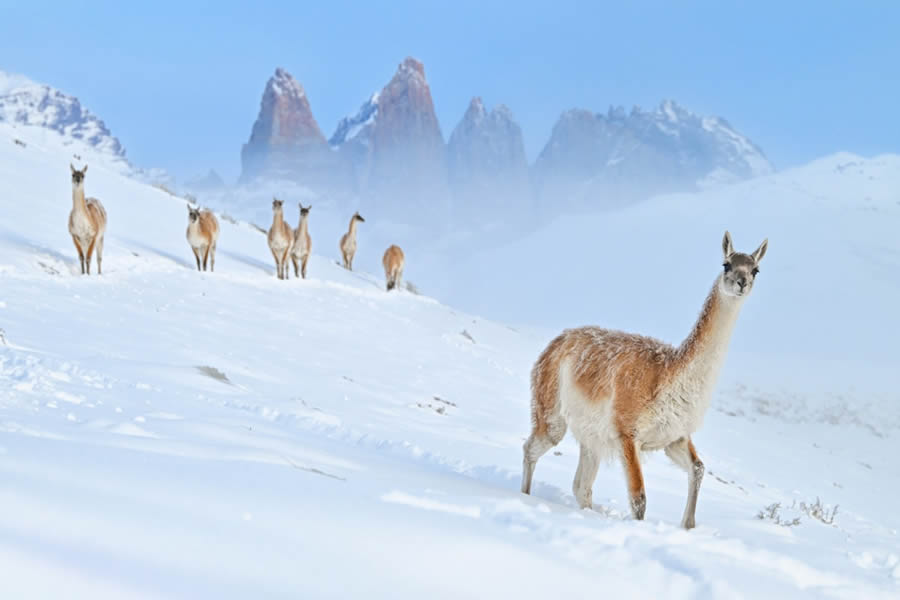 Nature Photographer Of The Year 2024 Winners 05