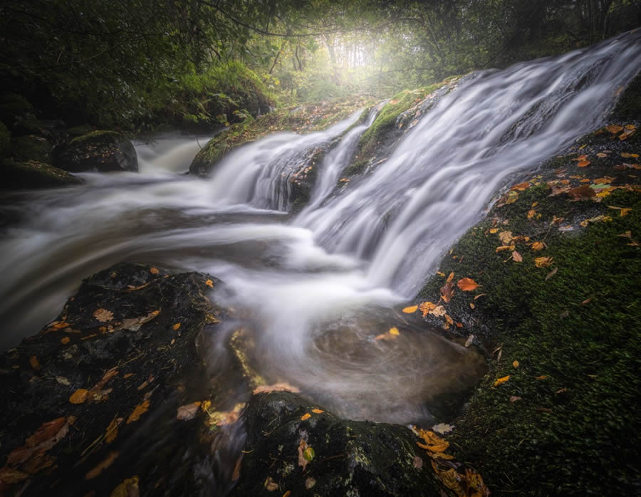 Nature Photographer Of The Year 2024 Winners 11